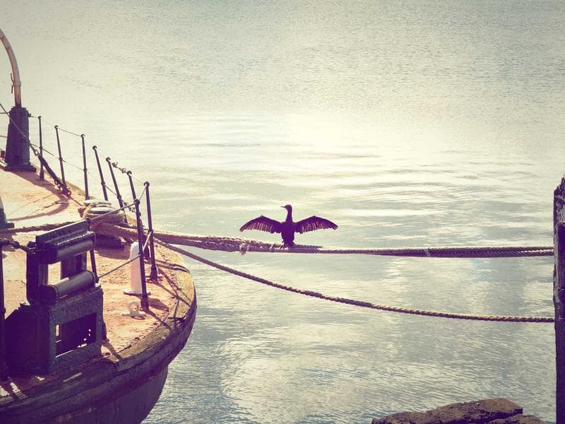 The Minimalist Stack: Why Minimalism Wins in Enterprise UI